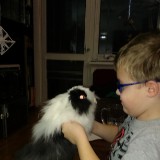 IMAG0272