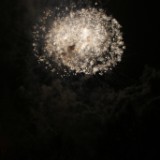 DSC09982