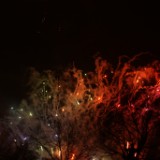 DSC00026