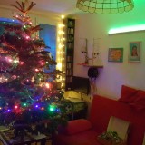 20181222 193729  IICSA
