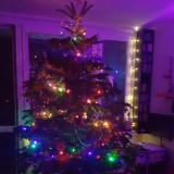 20181222 193906  IICSA   II