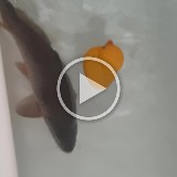 20191222 175244