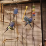 DSC00420