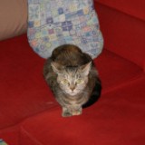 DSC01921