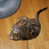 DSC01971