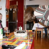 DSC00778