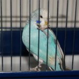 DSC08335
