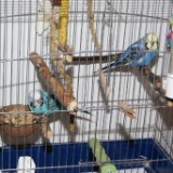 DSC08650