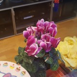 20190112 155908  IICSA   II