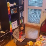 20190112 160334  IICSA   II