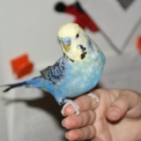 DSC08728