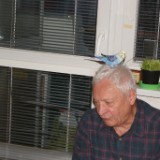 DSC08916