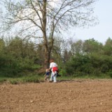 DSC07236