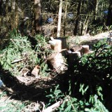 DSC 0576