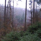 DSC 0907