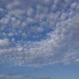 DSC03948