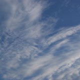 DSC03950