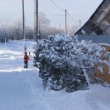 DSC01844