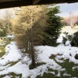 DSC02950