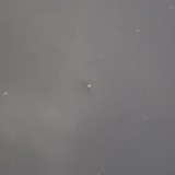 DSC02988