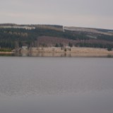 DSC02994