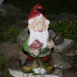 DSC03530