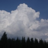 DSC06710