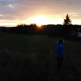 DSC 0224