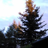 DSC 0227