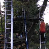 DSC 0769