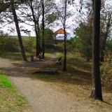 DSC 0834