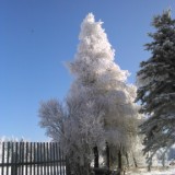 DSC 0002