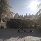 DSC 0003