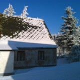 DSC 0004