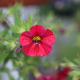 DSC01937