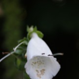 DSC01940