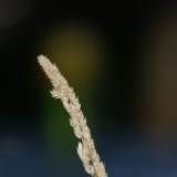 DSC01980