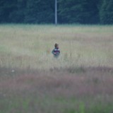 DSC03235