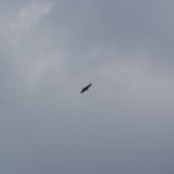 DSC03287