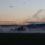 DSC05407