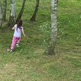 20170704 112858  IICSA   II
