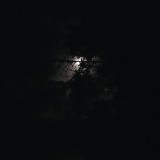 20170708 003623  IICSA   II