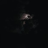 20170708 003652