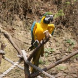 DSC06979