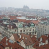 P1020890