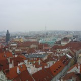 P1020904