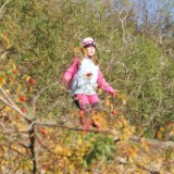 DSC07668