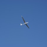 DSC07681