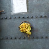 DSC07700