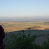 DSC07716